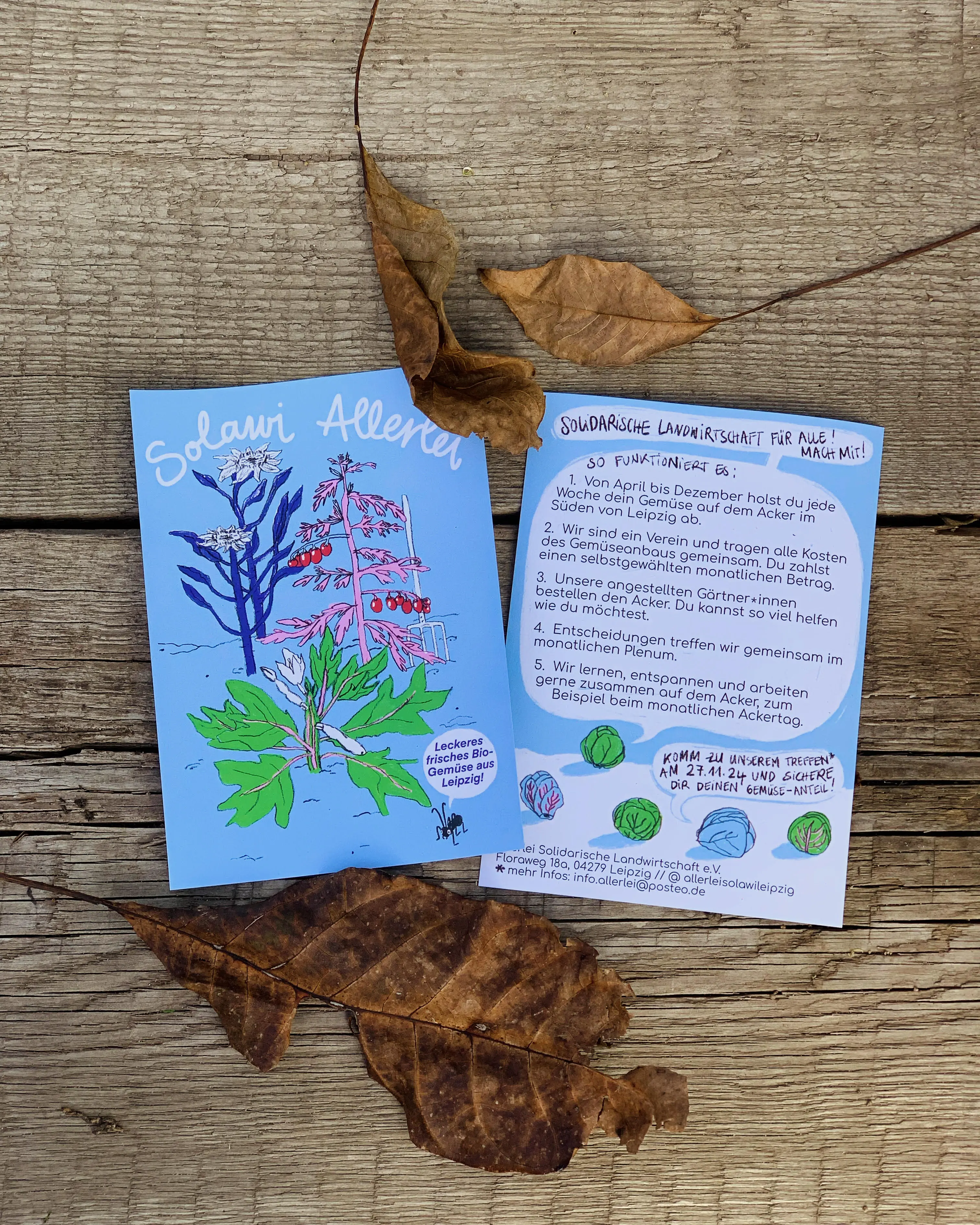 Flyer der Solidarischen Landwirtschaft Solawi Allerlei in Leipzig Dölitz-Dösen mit Informationen über wöchentliche Gemüsekisten und frisches Gemüse direkt vom Acker.